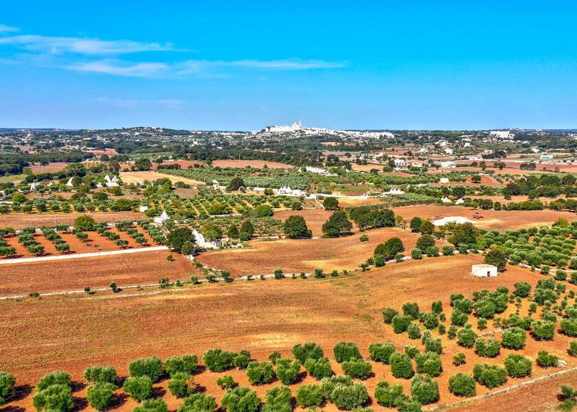 115 TRULLO POZZO DEL GECO