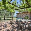 Terrasse mit Pergola mit rankendem Wein im Ferienhaus in Lucca La Sorgente