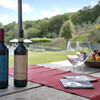 Genießen Sie einen regionalen Wein, welcher aus den Weinbergen rund um die Ferienvilla La Maccinaia stammt
