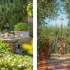 Villa La Fonte-39