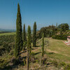 Idyllische Umgebung mit Zypressen im Ferienhaus in der Toskana Lavacchio