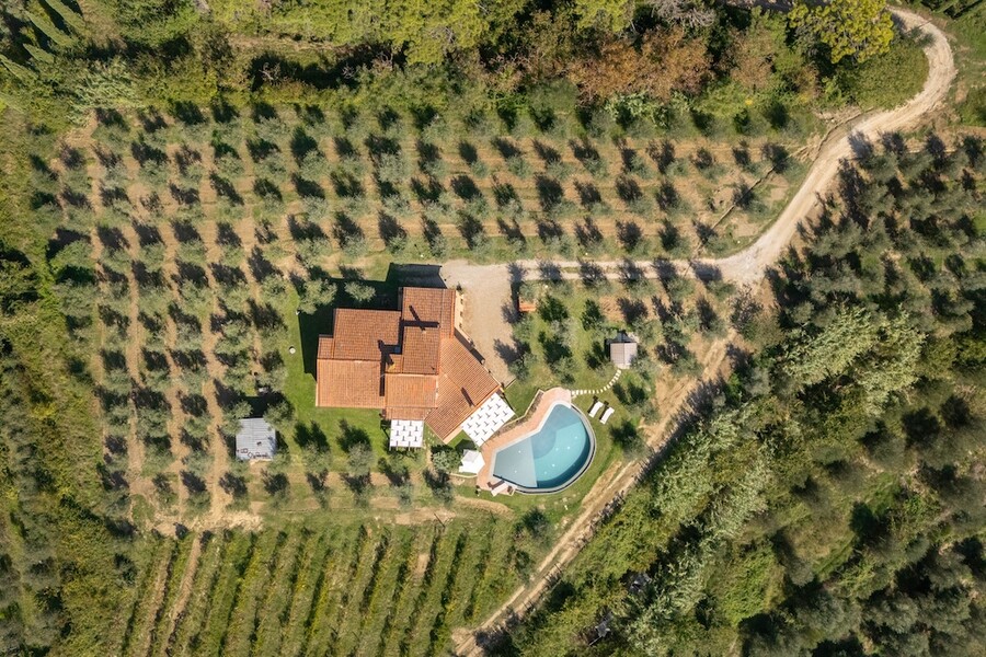 Azienda Agricola Costa al Bagno, Montopoli-34