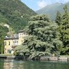 Dongo Lac-de-Côme Lombardie-et-Lac-de-Côme Villa Rubini gallery 005 1678282236