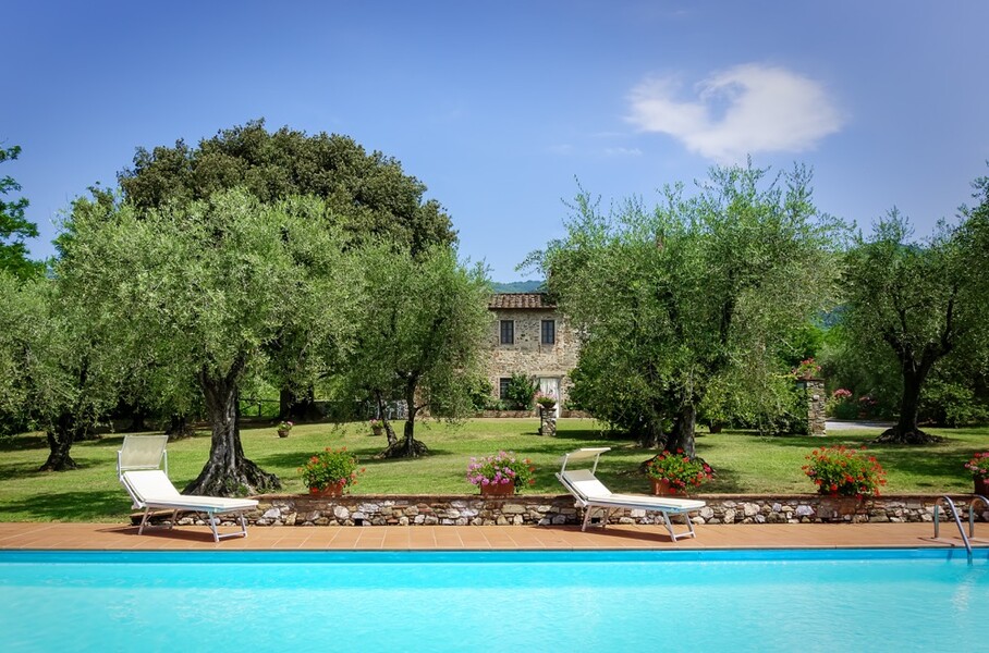 Pool mit Sonnenliegen und Olivenbäumen und Ferienhaus Casa Tonio bei Lucca