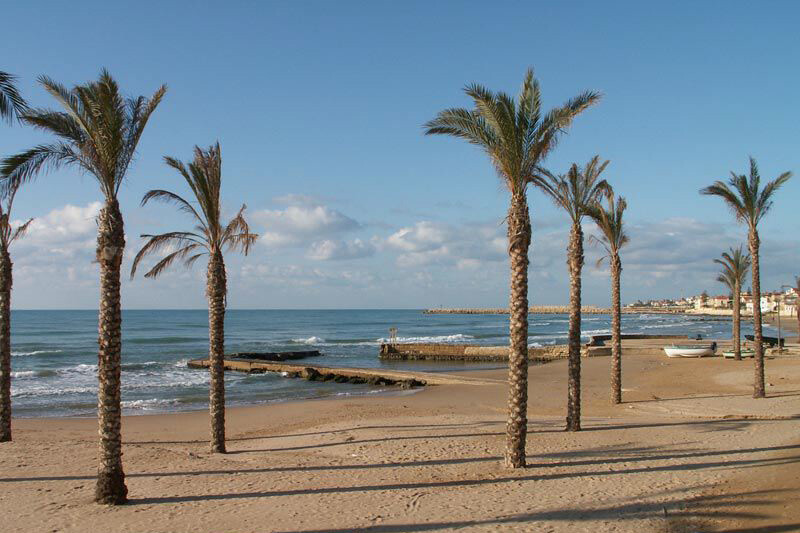 Marina-di-Ragusa Ragusa-Area Sicily Arus gallery 013 1536129351
