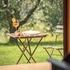 Azienda Agricola Costa al Bagno, Montopoli-10