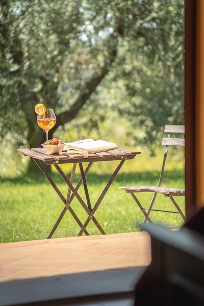 Azienda Agricola Costa al Bagno, Montopoli-10