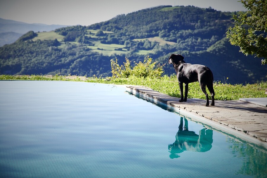 Ferienhaus mit Hund und privatem Pool in Italien