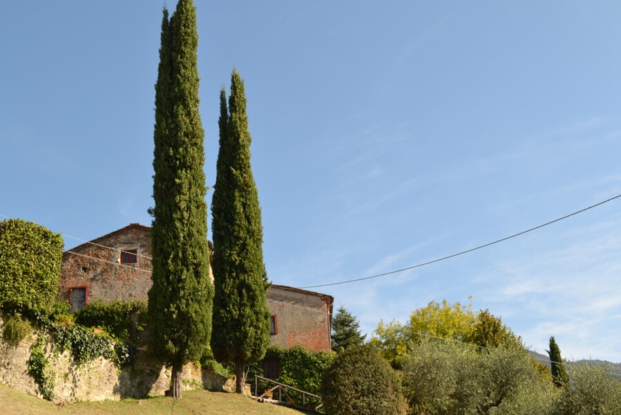 il leccio neu 3