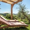 Azienda Agricola Costa al Bagno, Montopoli-17