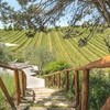 Villa Campassole, Radda in Chianti-27