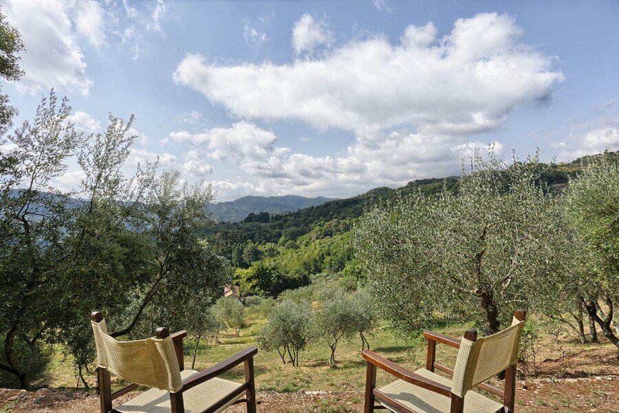 damiano 039