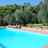 Pool zur Alleinnutzung mit Olivenbäumen im Ferienhaus Casa Tonio in der Toskana