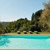 Privater Pool und Blick auf den Wald im Ferienhaus in Lucca