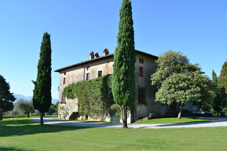 Buonvisi Buonvisi