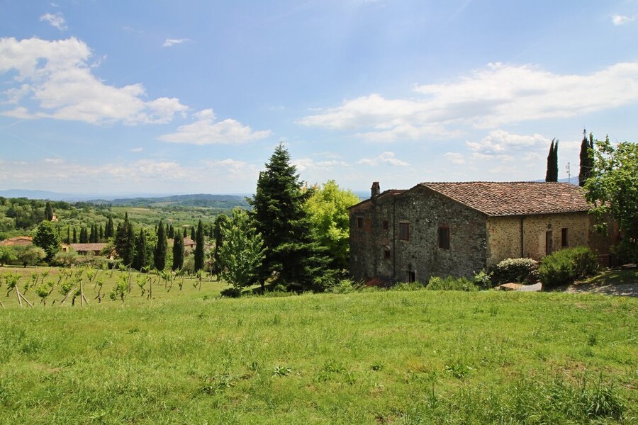 Il Leccio 024