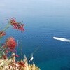 Positano Positano Côte-Amalfitaine La Vela gallery 014 1647246949
