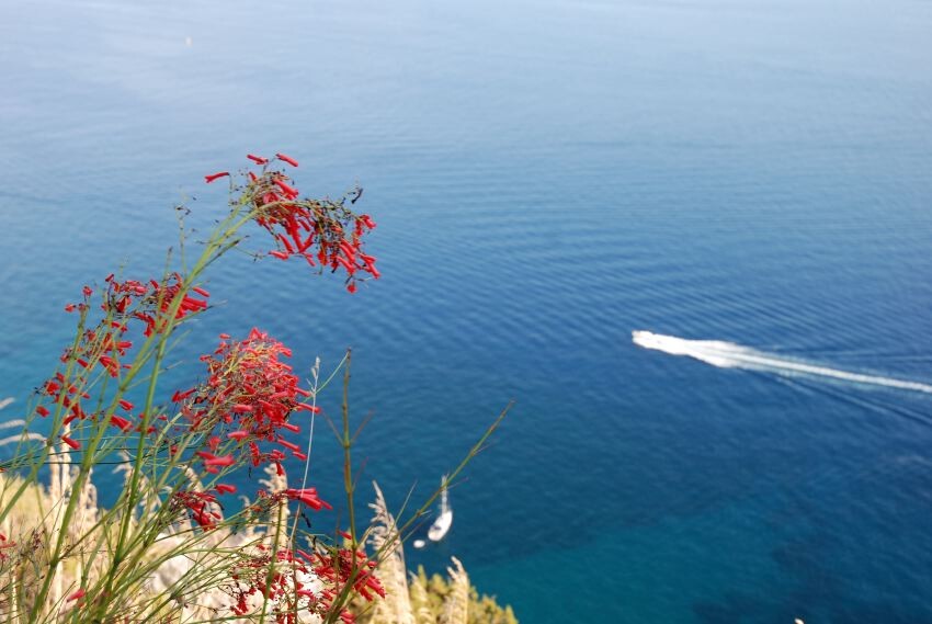 Positano Positano Côte-Amalfitaine La Vela gallery 014 1647246949