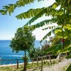 Amalfi Amalfi-Area Amalfi-Coast Villa delle Sirene gallery 033 1666866680