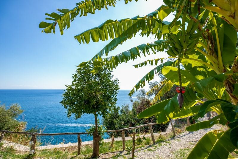 Amalfi Amalfi-Area Amalfi-Coast Villa delle Sirene gallery 033 1666866680