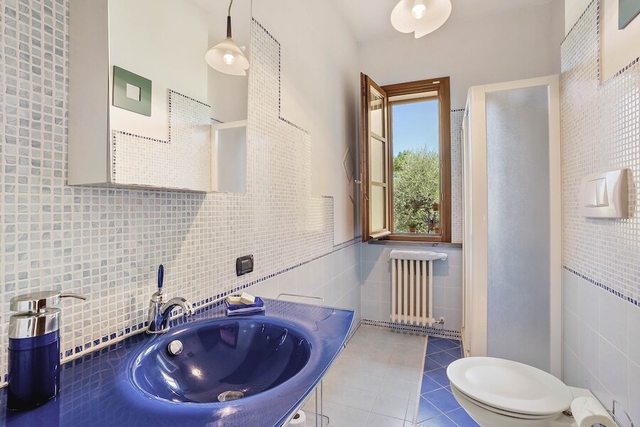 Azienda Agricola Costa al Bagno, Montopoli-14