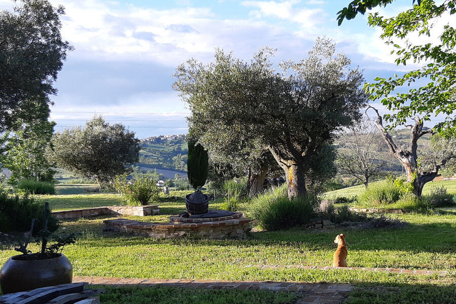 casa colognola 05