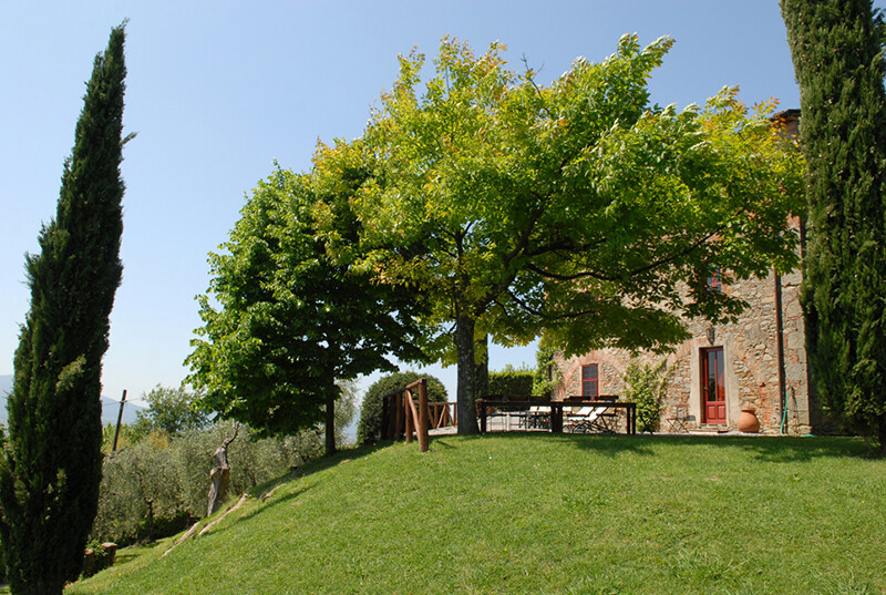 Il-Leccio-03