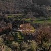 Tenuta di Carma 1a