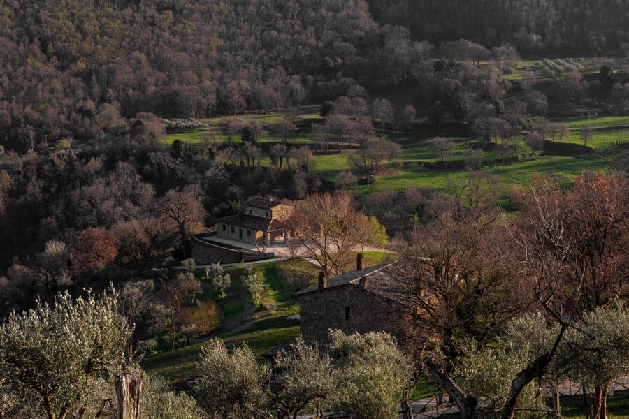Tenuta di Carma 1a