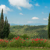 Lassen Sie von unserem Ferienhaus aus den Blick in die einmalige Landschaft der Toskana schweifen