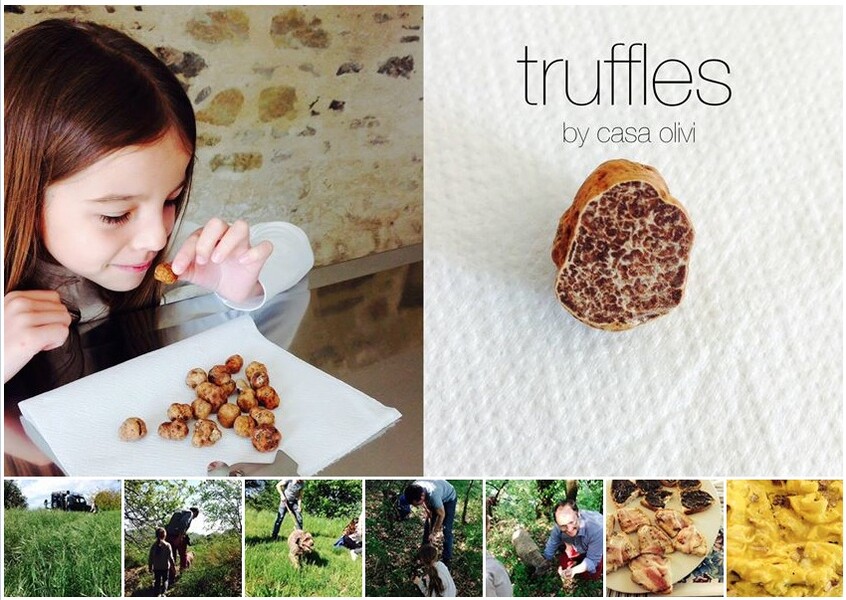 casa olivi truffle hunting