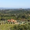 Azienda Agricola Costa al Bagno, Montopoli-33