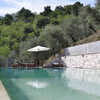 Private pool in a holiday villa in Lucca with olive trees