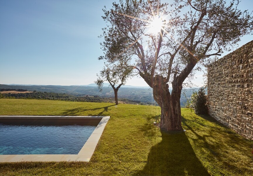 Pool zur Alleinnutzung mit Olivenbaum und Blick über die Hügel in Mittelitalien