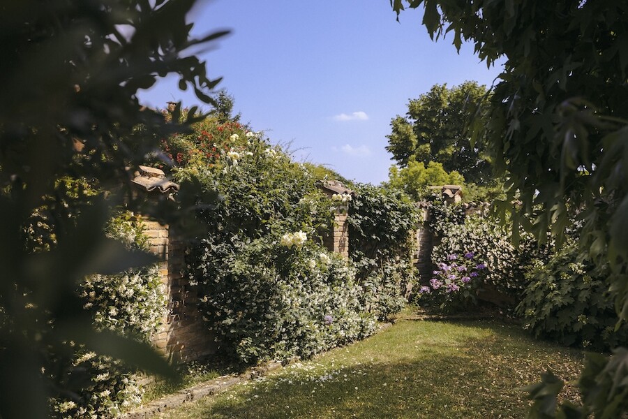 Canuccia giardino