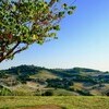 Ausblick vom Ferienhaus in Le Marche über die grünen Hügel