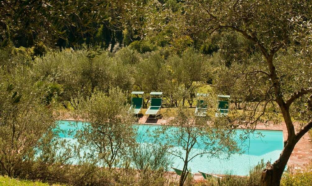 Privater Pool inmitten eines Olivenhains in der Toskana im Ferienhaus Damiano