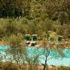 Privater Pool inmitten eines Olivenhains in der Toskana im Ferienhaus Damiano