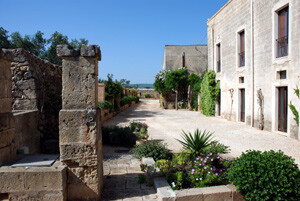 MasserialaMadonnaF