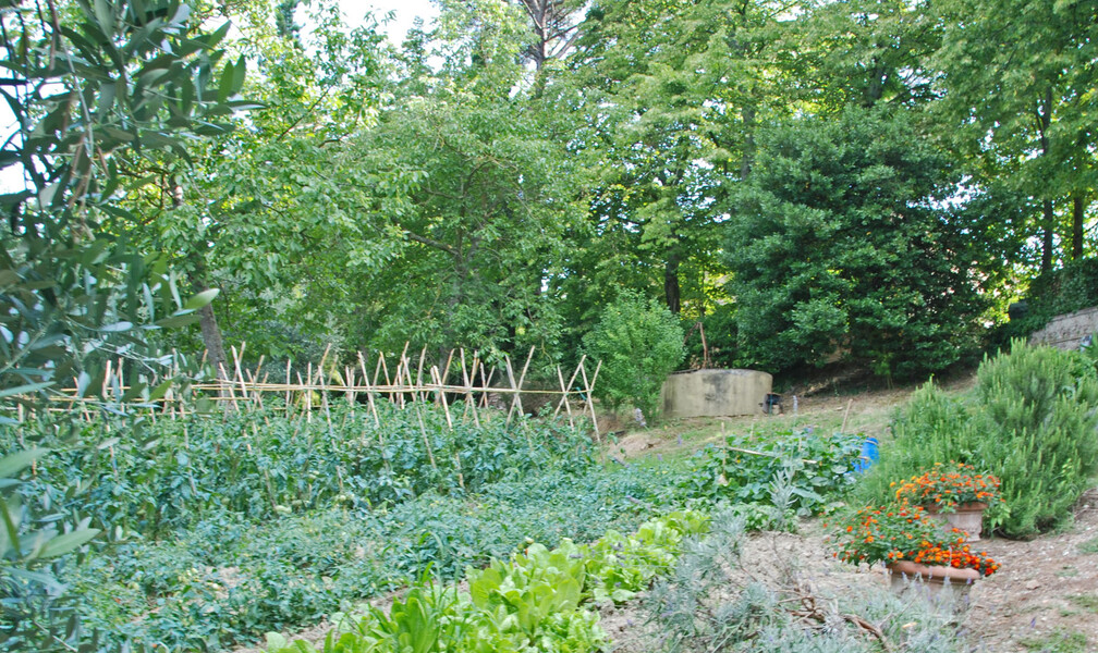 villa di montelopio 031