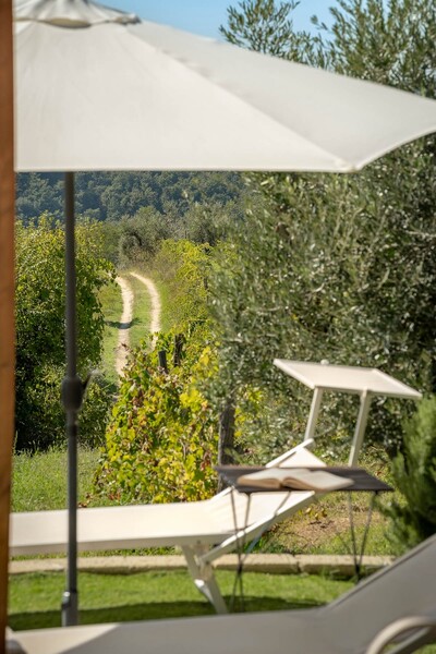 Azienda Agricola Costa al Bagno, Montopoli-23