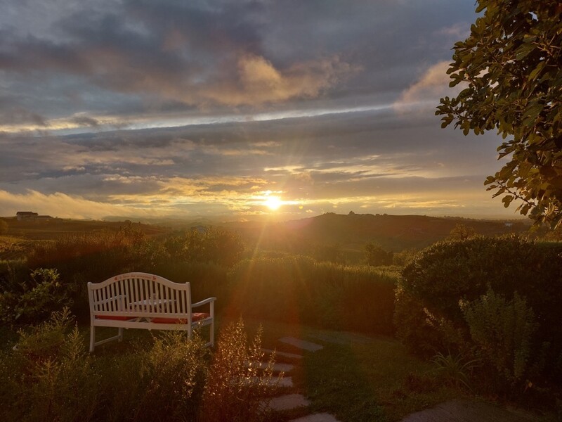 2024 Luce amore avondzon