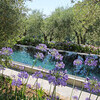 Pool of Villa Macennere in Tuscany surrounded by olive trees