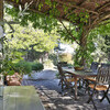 Sonnegeschützte Terrasse mit Gartentisch im Ferienhaus monte cavallo in der Maremma
