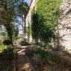 Palazzo-Del-Silenzio-Garden-View-9-768x497