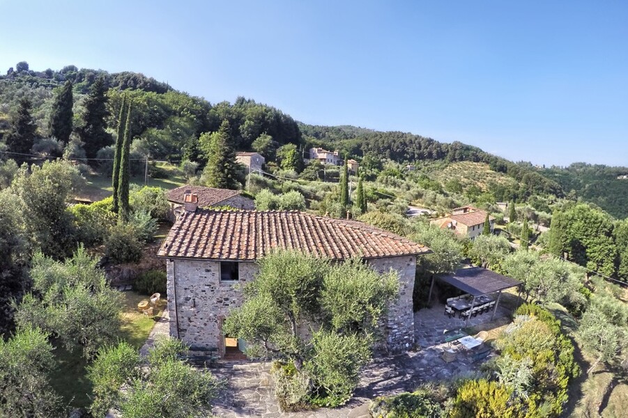 Das Ferienhaus in Lucca umgeben von Olivenbäumen