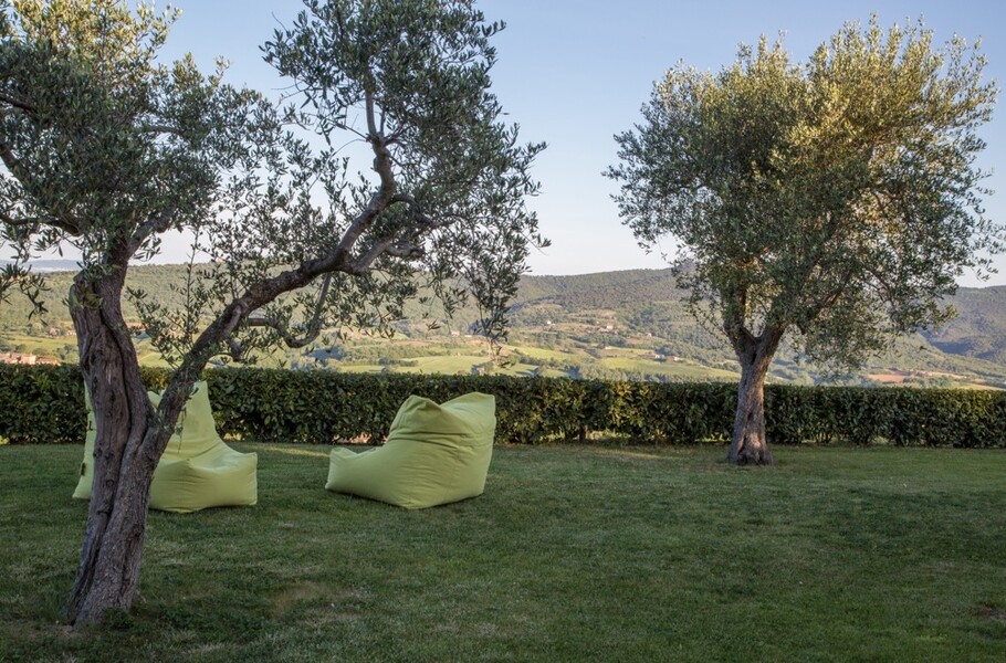 Garten mit Olivenbäumen im Ferienhaus Arco in Italien