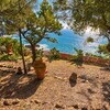 ROC VILAL CASTIGLIONCELLO TUSCANY - GARDEN TERRACE.