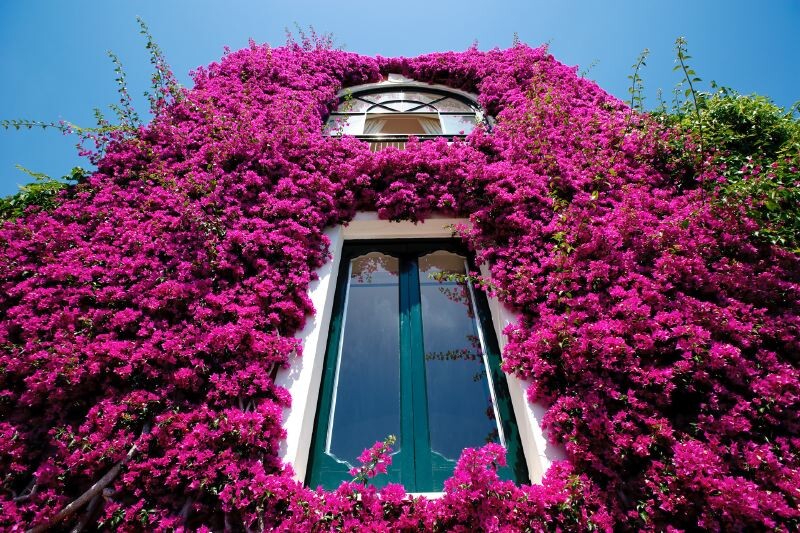 Positano Positano Côte-Amalfitaine Villa Assunta gallery 004
