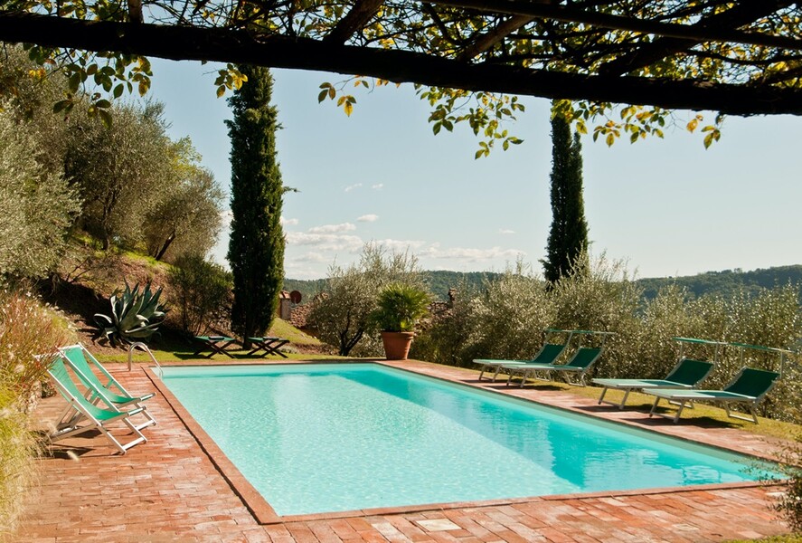 Privater Pool inmitten von Olivenbäumen bei Lucca im Ferienhaus Damiano